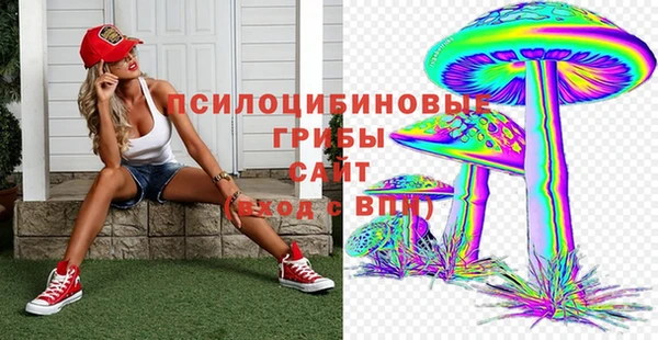 МДПВ Коряжма