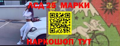 альфа пвп Заводоуковск