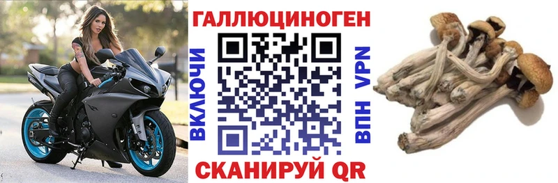 наркошоп  Михайловск  Галлюциногенные грибы Psilocybe 